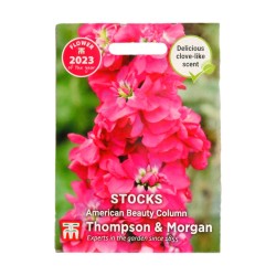 Thompson & Morgan Stocks American Beauty Column