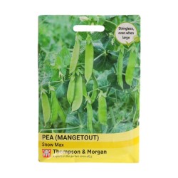 Thompson & Morgan Mangetout Pea Snow Max