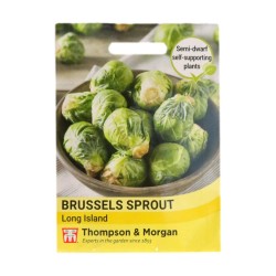 Thompson & Morgan Brussels Sprout Long Island