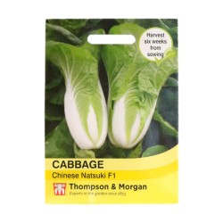 Thompson & Morgan Cabbage Chinese Natsuki F1