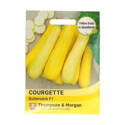 Thompson & Morgan Courgette Butterstick F1