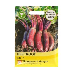 Thompson & Morgan Beetroot Alto