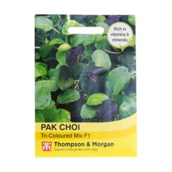 Thompson & Morgan Pak Choi Tri-Colour Mix F1