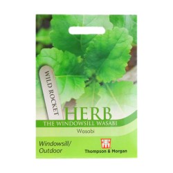 Thompson & Morgan Herb Wild Rocket Wasabi