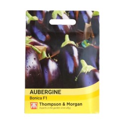 Thompson & Morgan Aubergine Bonica