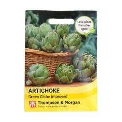 Thompson & Morgan Artichoke Green Globe