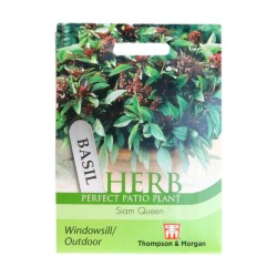 Thompson & Morgan Basil Herb Siam Queen