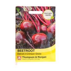 Thompson & Morgan Beetroot Detroit 2 Crimson Globe