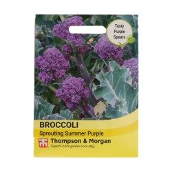Thompson & Morgan Broccoli Sprouting Summer Purple