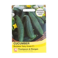 Thompson & Morgan Cucumber Burpless Tasty Green