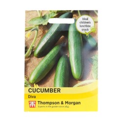 Thompson & Morgan Cucumber Diva