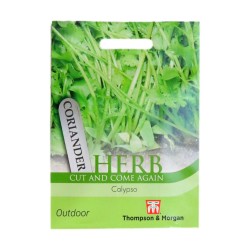 Thompson & Morgan Herb Coriander Calypso