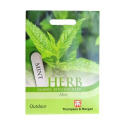 Thompson & Morgan Herb Mint