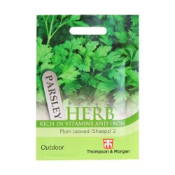 Thompson & Morgan Herb Parsley Plain Leaved