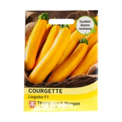 Thompson & Morgan Courgette Lingodor F1