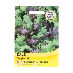 Thompson & Morgan Kale Babyleaf Mix