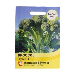 Thompson & Morgan Broccoli Skytree F1