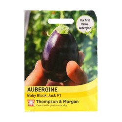 Thompson & Morgan Aubergine Baby Black Jack F1
