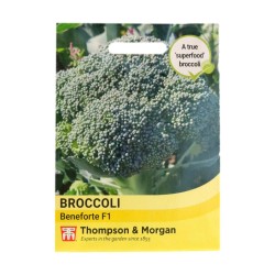 Thompson & Morgan Broccoli Beneforte F1