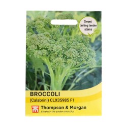Thompson & Morgan Broccoli Calabrini F1