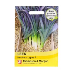 Thompson & Morgan Leek Northern Lights