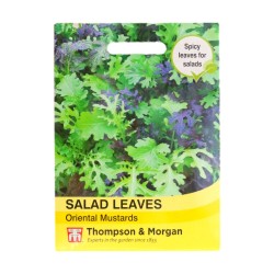 Thompson & Morgan Salad Leaves Oriental Mustards