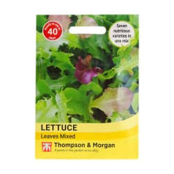 Thompson & Morgan Lettuce Leaves Mix