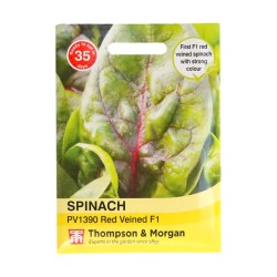 Thompson & Morgan Spinach PV1390 Red Veined F1