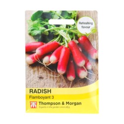 Thompson & Morgan Radish Flamboyant 3
