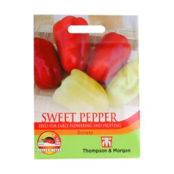 Thompson & Morgan Sweet Pepper Boneta