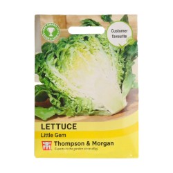 Thompson & Morgan Lettuce Little Gem