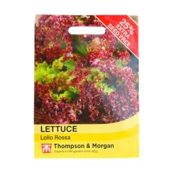 Thompson & Morgan Lettuce Lollo Rossa