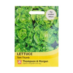 Thompson & Morgan Lettuce Tom Thumb