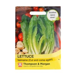 Thompson & Morgan Lettuce Valmaine