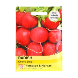 Thompson & Morgan Radish Cherry Belle
