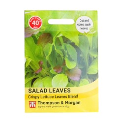 Thompson & Morgan Salad Leaves Crispy Lettuce Blend