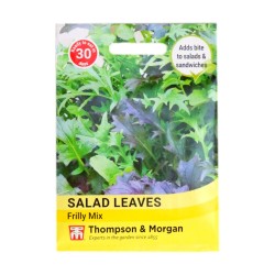 Thompson & Morgan Salad Leaves Frilly Mix