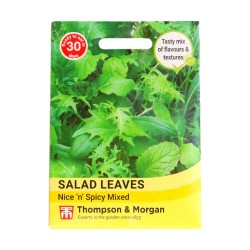 Thompson & Morgan Salad Leaves Nice & Spicy
