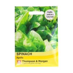 Thompson & Morgan Spinach Apollo