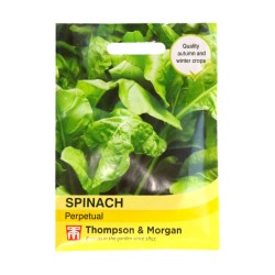 Thompson & Morgan Spinach Perpetual