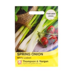 Thompson & Morgan Spring Onion White Lisbon