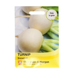 Thompson & Morgan Turnip Snowball