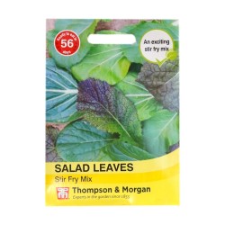 Thompson & Morgan Salad Leaves Stir Fry Mix