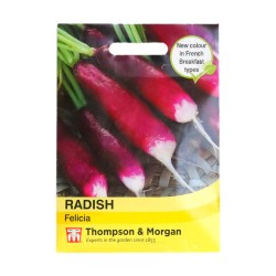 Thompson & Morgan Radish Felicia