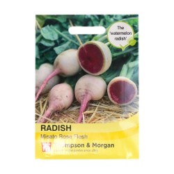 Thompson & Morgan Radish Misato Rose Flesh