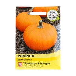 Thompson & Morgan Pumpkin Baby Bear F1