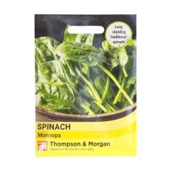 Thompson & Morgan Spinach Monnopa