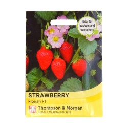 Thompson & Morgan Strawberry Florian F1