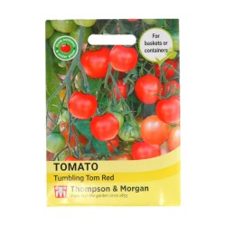Thompson & Morgan Tomato Tumbling Tom Red