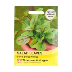 Thompson & Morgan Salad Leaves Sorrel Blood Veined